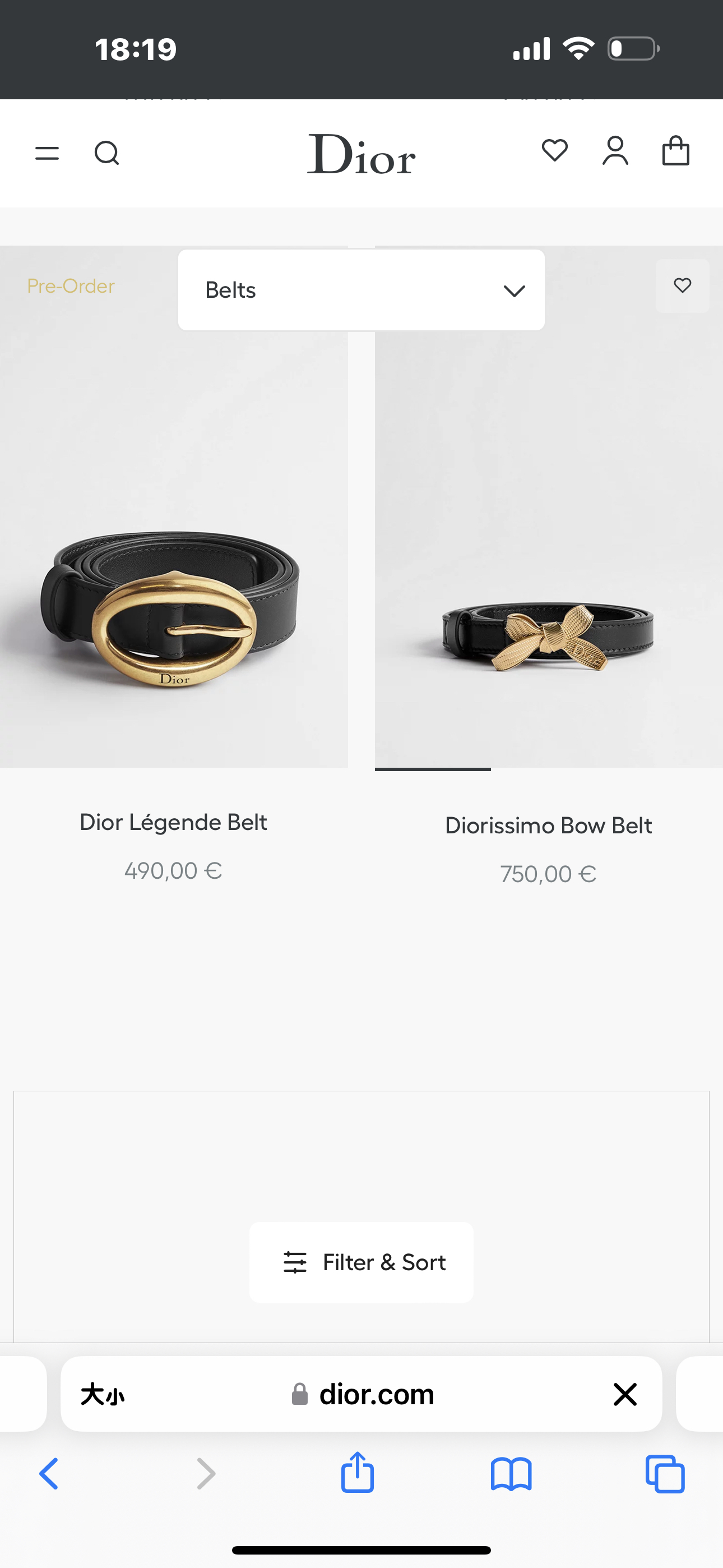 디올 Dior Légende 벨트