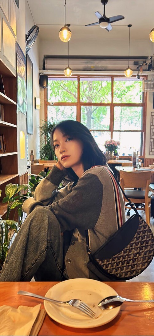 고야드 보헴 호보 숄더백