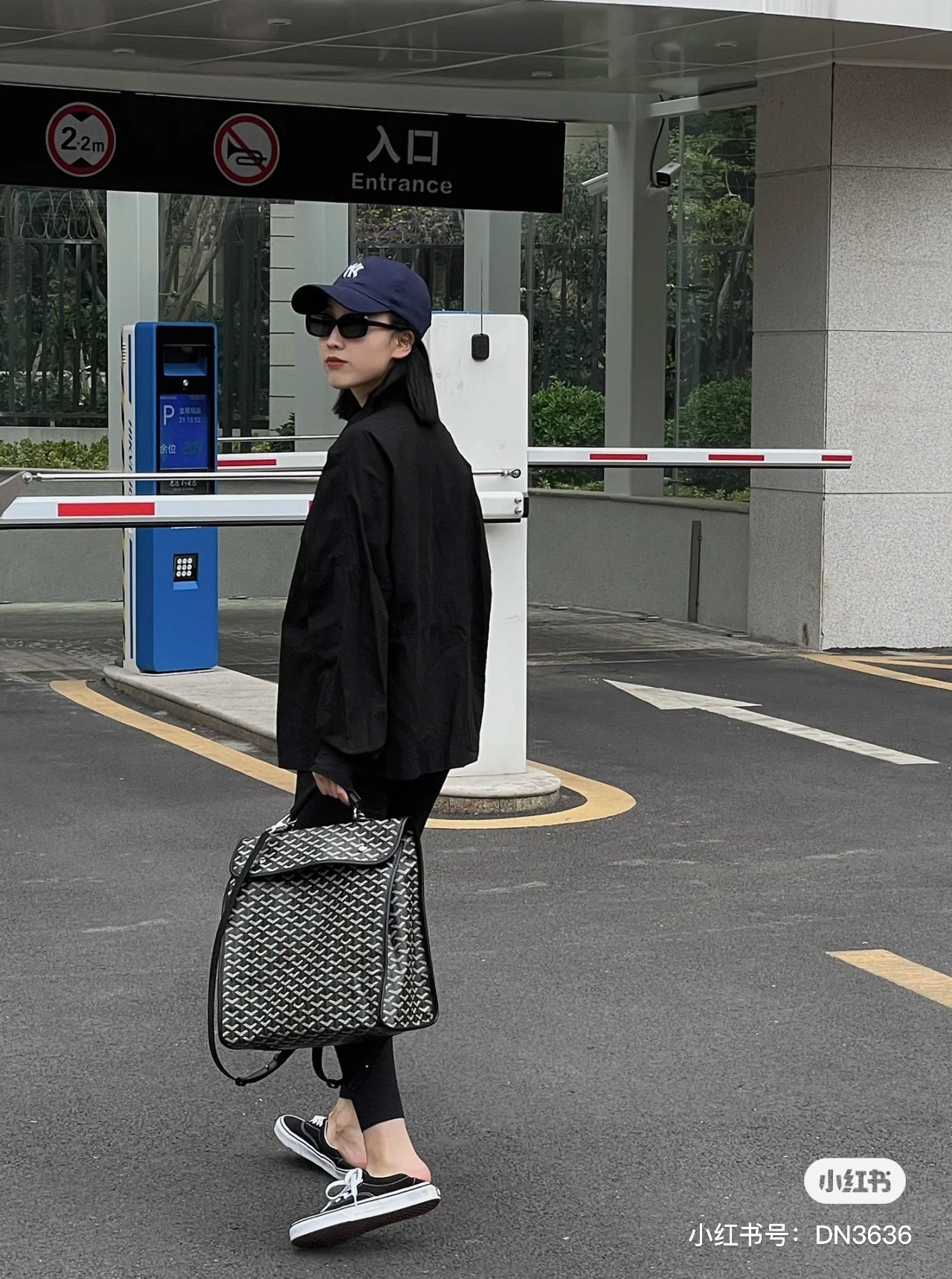 고야드 알팽(Alpin) 백팩
