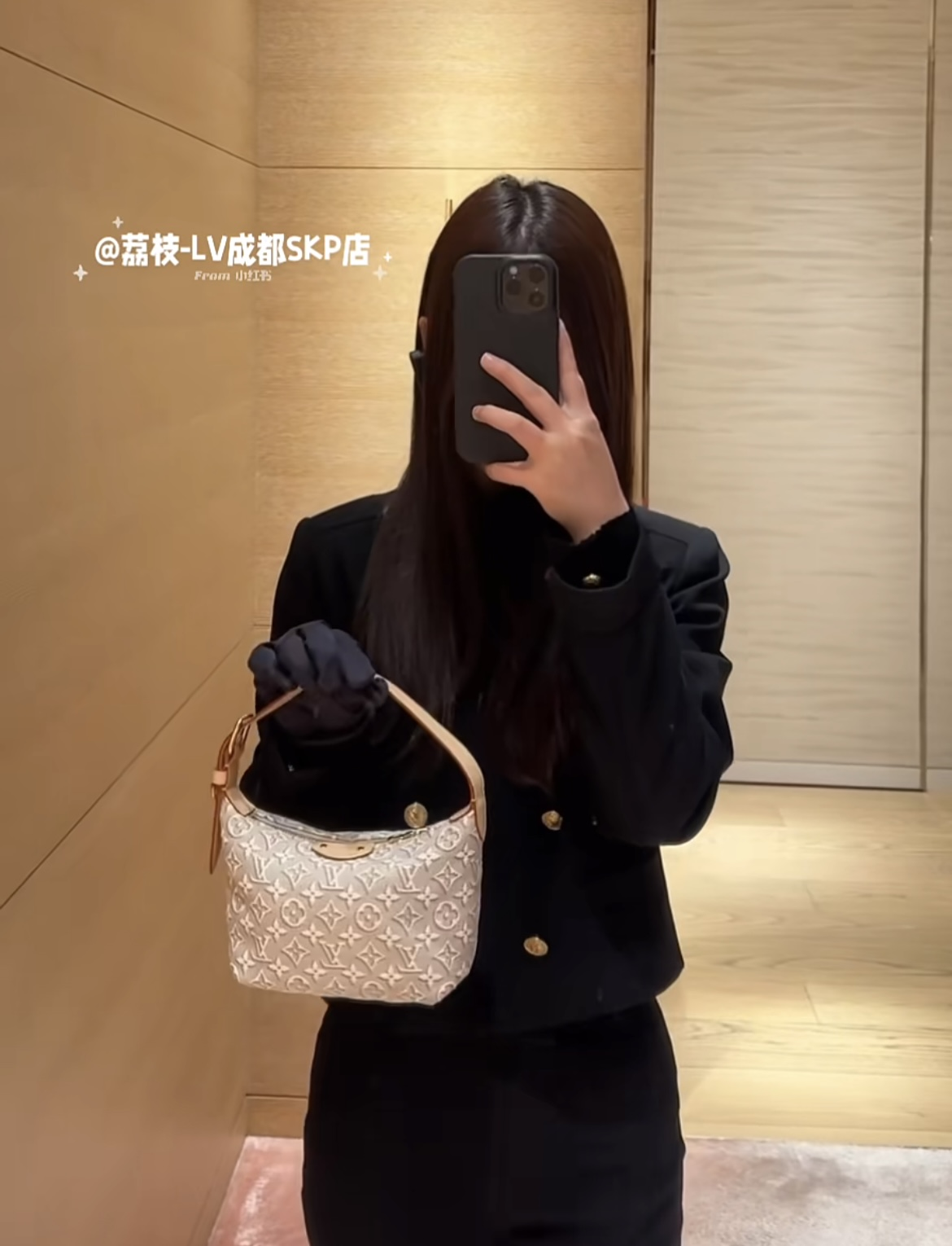 루이 비통 미니 문 숄더백