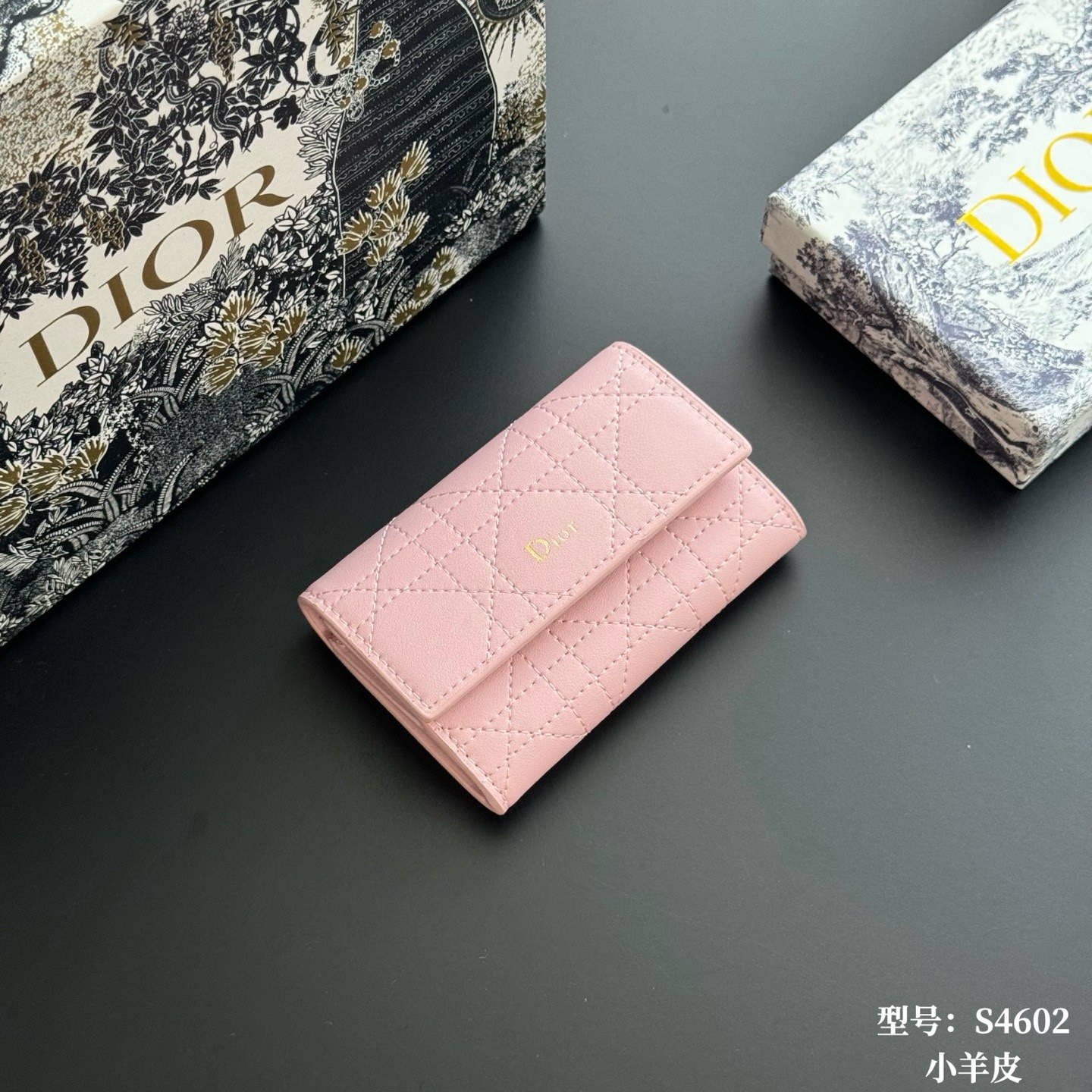 디올 Caro 플랩 카드 홀더 S4602